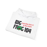 Big Frog 104 Unisex Heavy Blend™ Hooded Sweatshirt