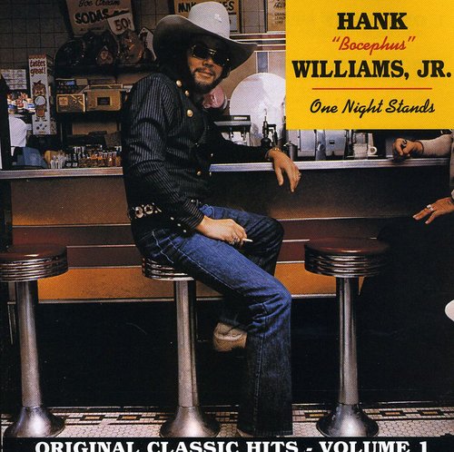 Hank Williams Jr - One Night Stands