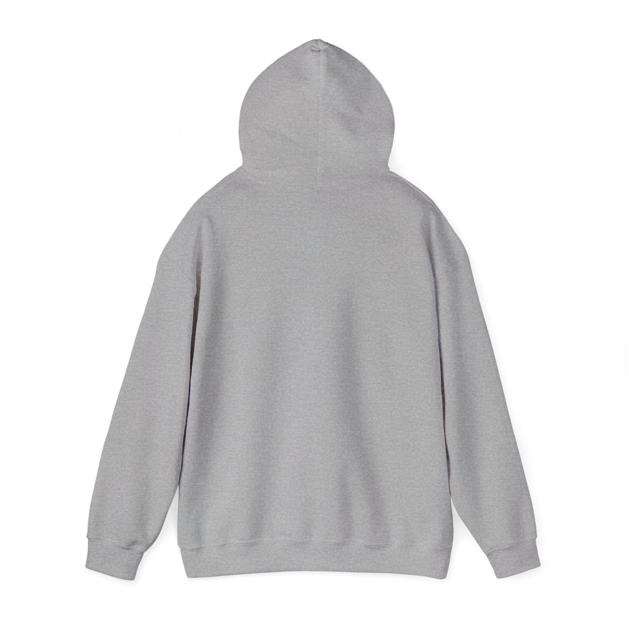 107.7 GNA New Country Unisex Heavy Blend™ Hooded Sweatshirt
