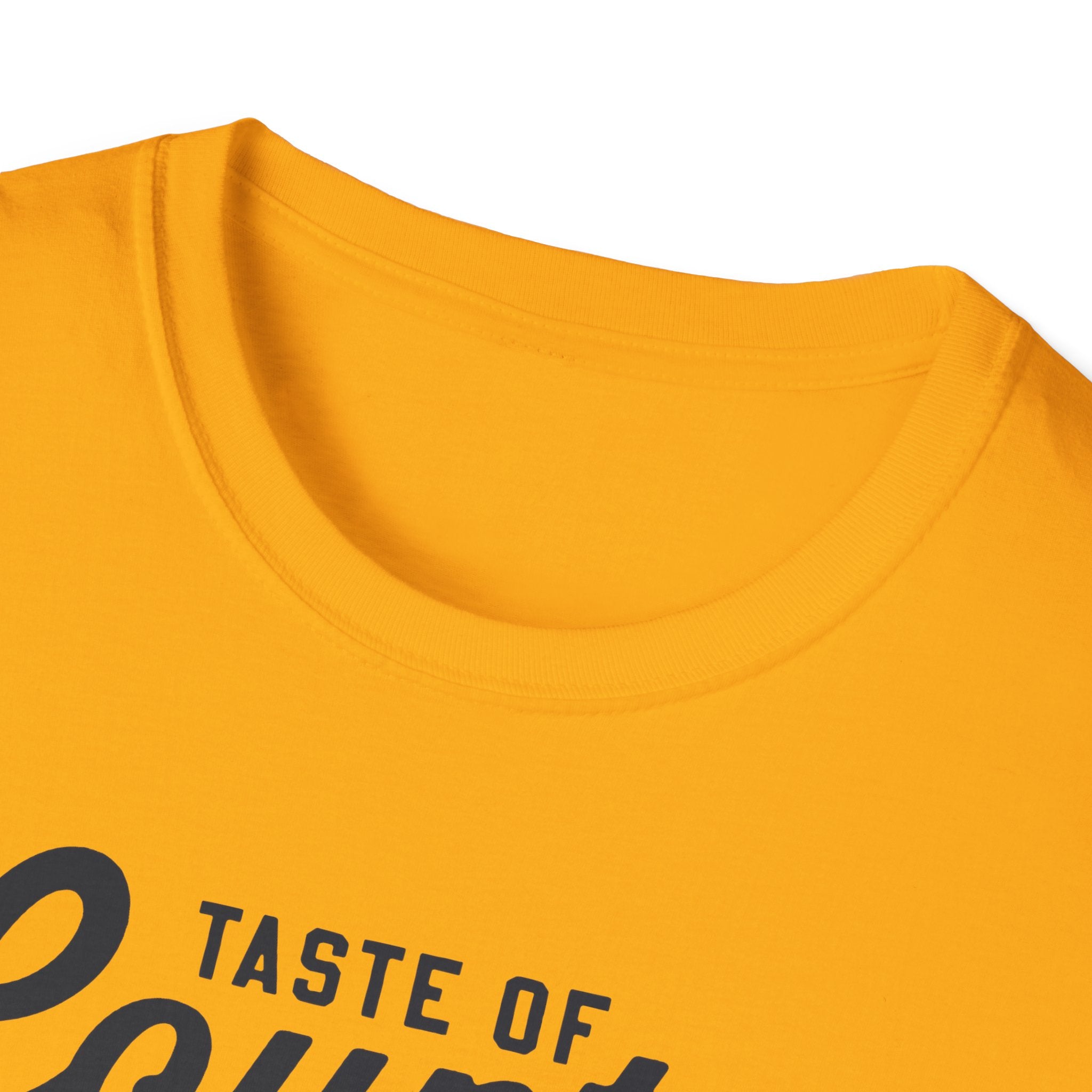 Sound of the South T-Shirt