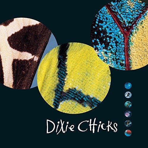 The Chicks - Fly