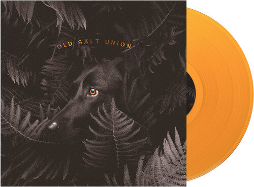 Old Salt Union - Where The Dogs Don't Bite
