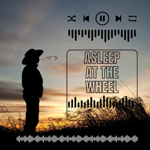 Asleep At the Wheel - Asleep at the Wheel - Live